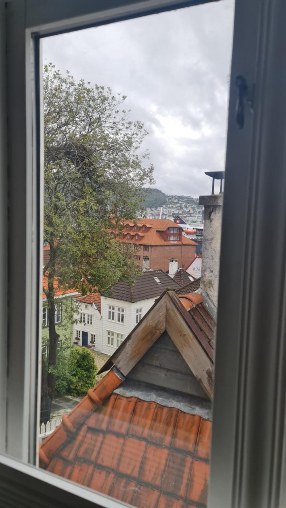 Amunds Apartment Bergen Bagian luar foto
